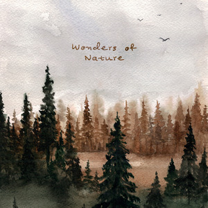 午夜成午夜成年片在线观看
