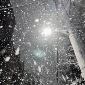 午夜成午夜成年片在线观看
